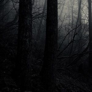 Meet your Posher, Christiana